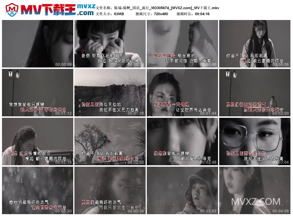 陈瑞-锦鲤_国语_流行_MD305674